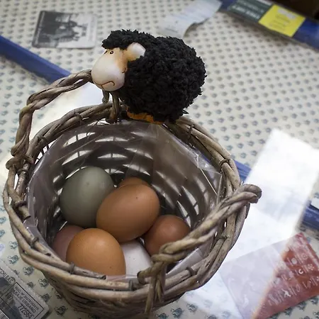 ホステル The Black Sheep キラーニー