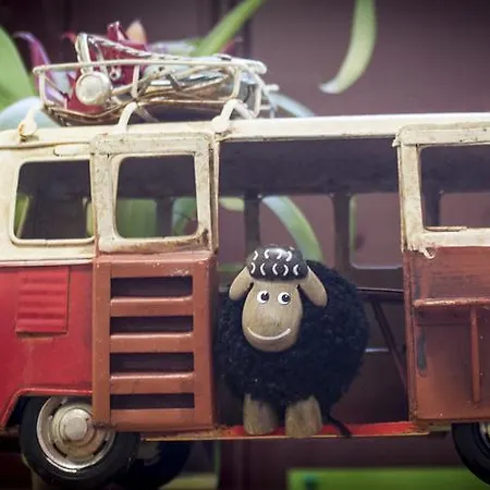 Хостел The Black Sheep