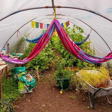 Хостел The Black Sheep Килларни