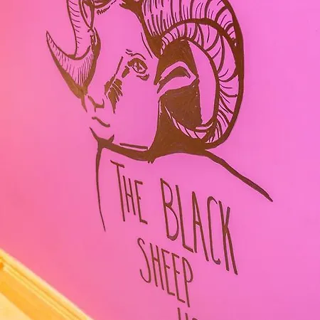 Хостел The Black Sheep