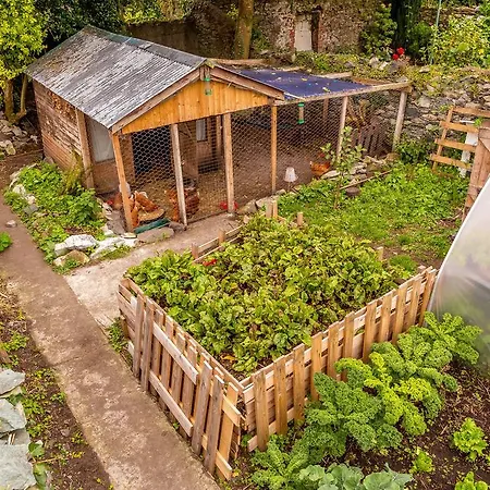 Хостел The Black Sheep