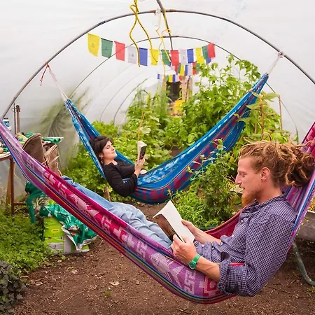 The Black Sheep Килларни