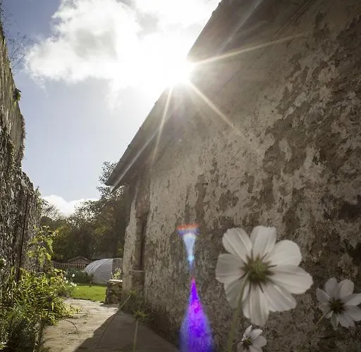 Hostel The Black Sheep