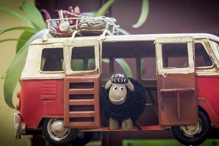 Auberge de jeunesse The Black Sheep