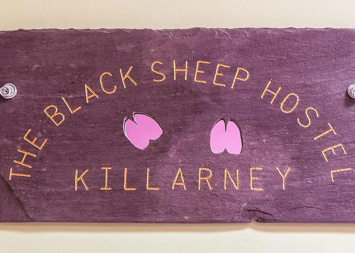 The Black Sheep Killarney