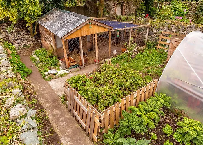 Хостел The Black Sheep