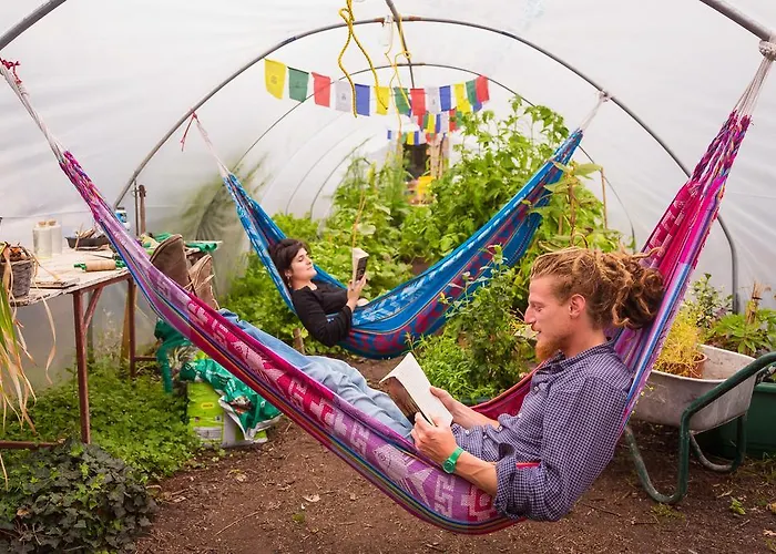 The Black Sheep Кілларні