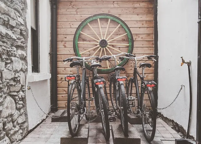 Hostel The Black Sheep Killarney