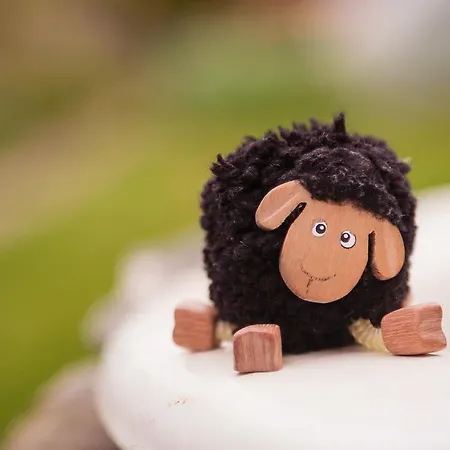 The Black Sheep