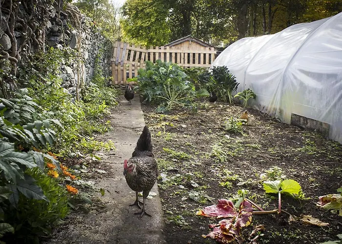 Hostel The Black Sheep *