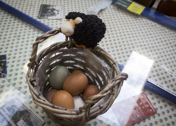 Hostel The Black Sheep Cill Airne