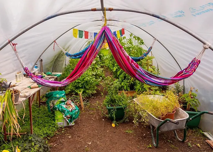 Hostel The Black Sheep Cill Airne