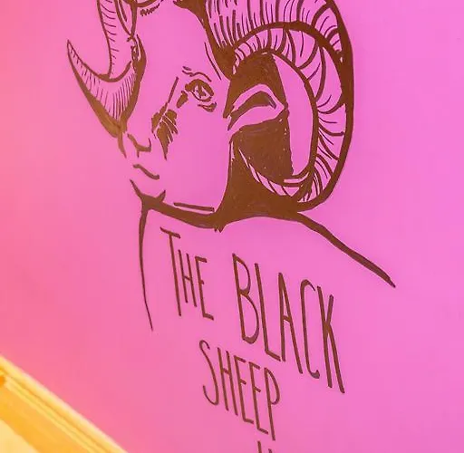 Hostel The Black Sheep